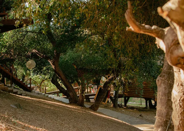 Boskenvid Hotel - Romantic Treehouses & Skypool